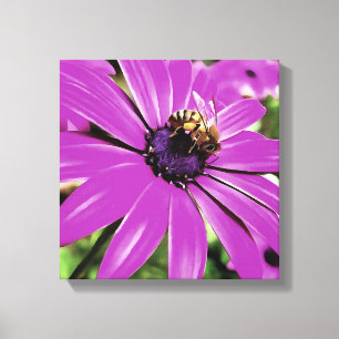 Toile Honey Bee Sur Un Daisy Africain Violet