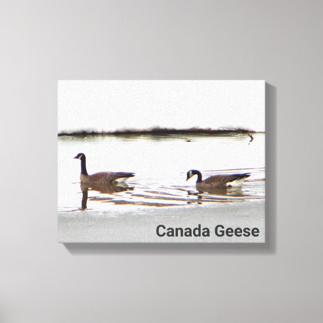Toile Honkers - Oies du Canada (Recto)