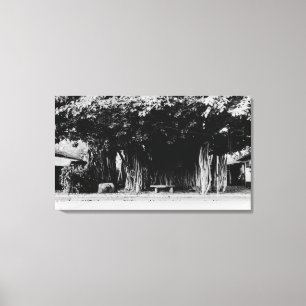 Toile Honolulu, Hawaï - l'arbre de saucisse