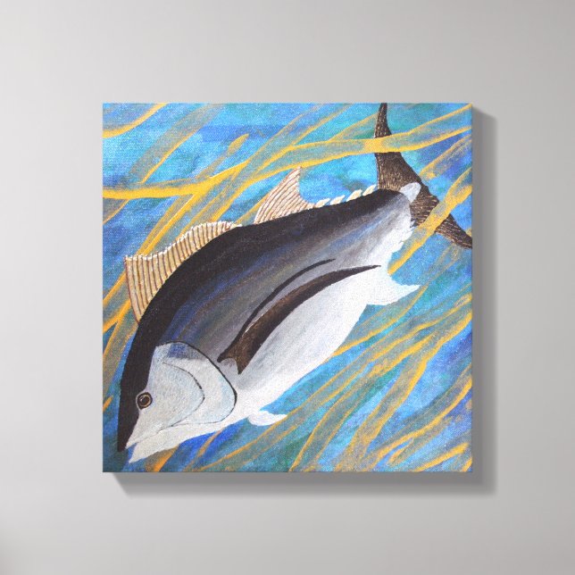 Toile Hooky de l'école (Recto)