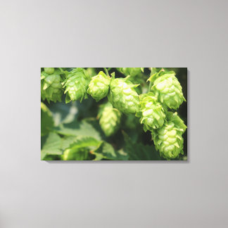 Toile Hop Art : Des houblons sauvages pour la maison des
