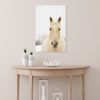 Horse with snow on head