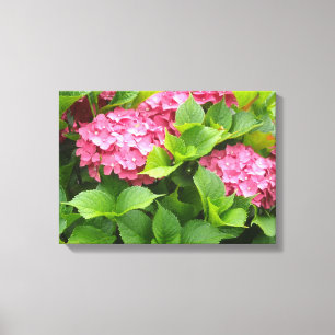 Toile Hortensias rose vif