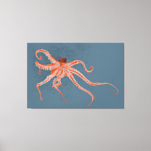 Toile Hugues de poulpe