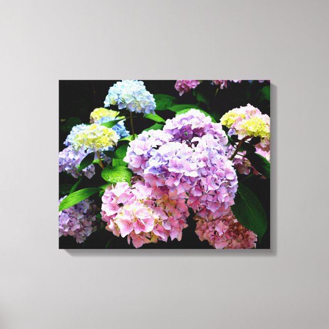 Toile Hydrangea garden, rose, bleu, purple floral (Recto)