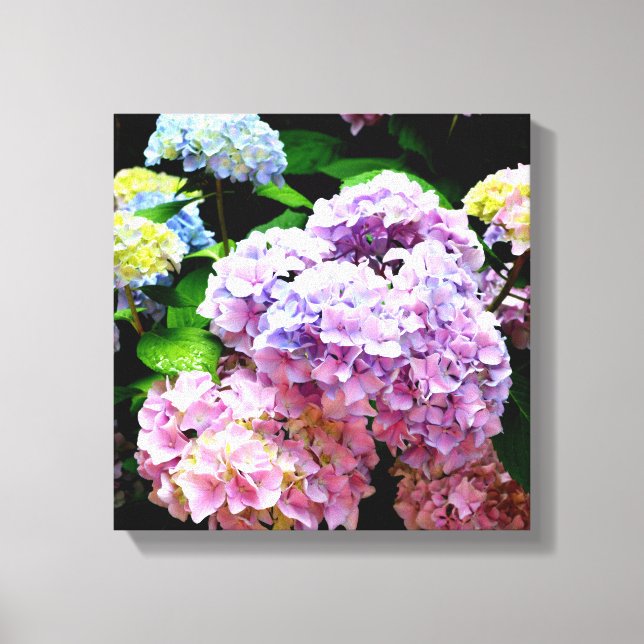 Toile Hydrangea garden, rose, bleu, purple floral (Recto)