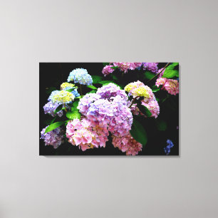 Toile Hydrangea garden, rose, bleu, purple floral