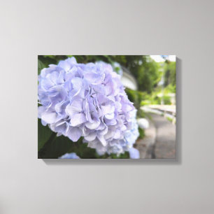 Toile Hydrangeas au bord de la route – Photographie de n