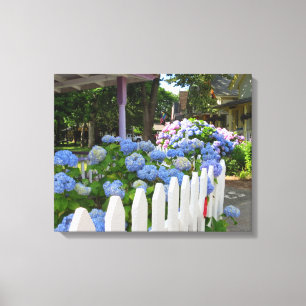 Toile Hydrangeas et clôture à pinces - Martha's Vineyard