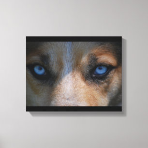 Toile Icy Blue Canine Eyes