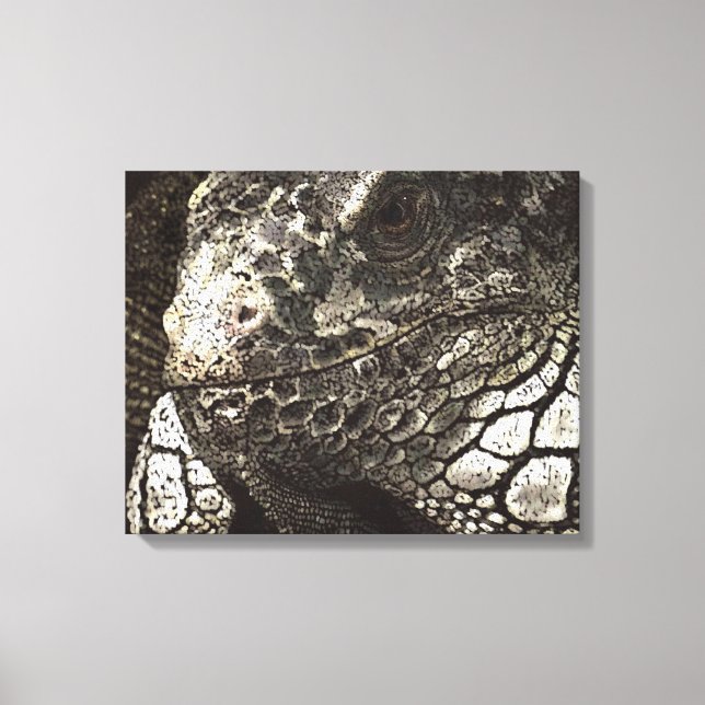 Toile Iguana (Recto)