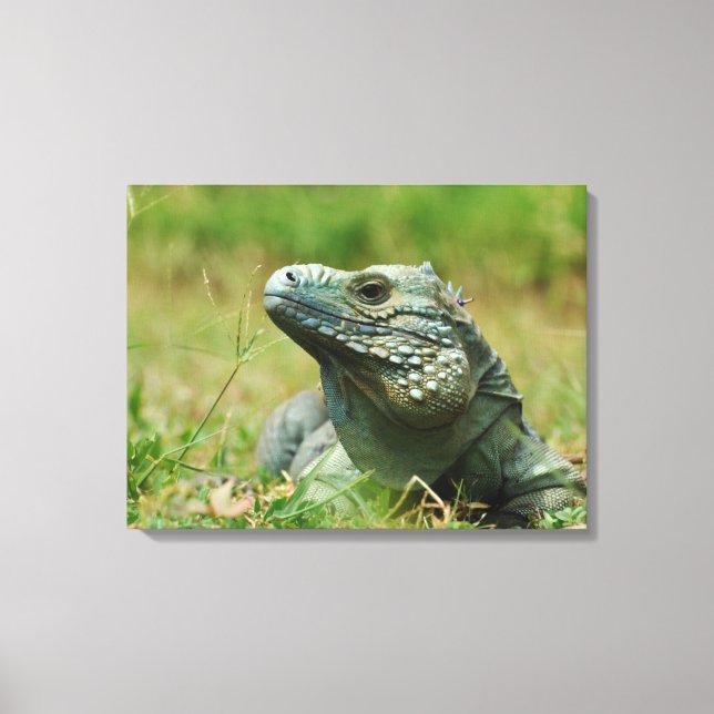 Toile Iguana bleu (Recto)