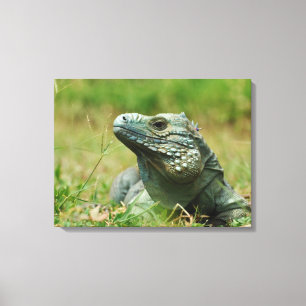 Toile Iguane bleu