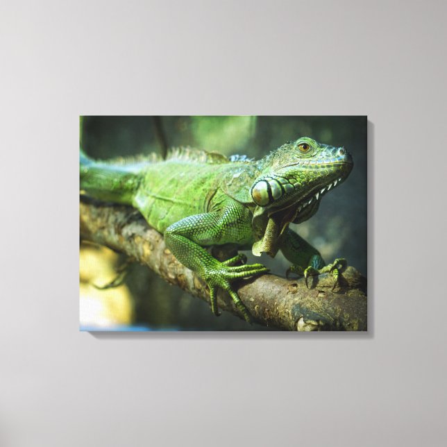 Toile Iguane vert (Recto)