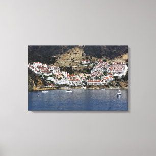 Toile Île de Catalina d'art de mur