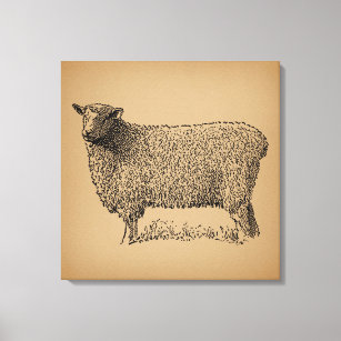 Toile Illustration classique de l'art du mouton animal d