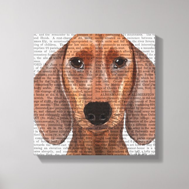 Toile Illustration Dachshund Plain (Recto)