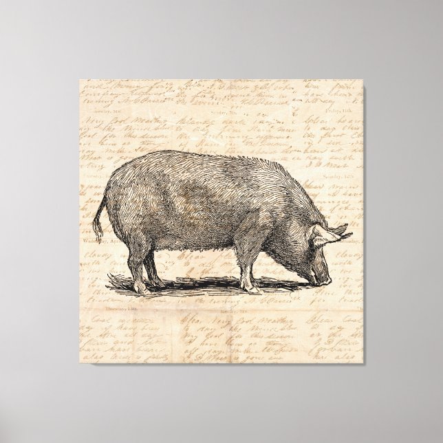 Toile Illustration de cochon Style de papier de script d (Recto)