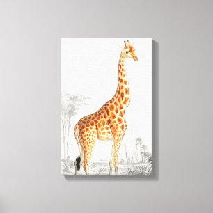 Toile Illustration de girafe Art imprimé vintage