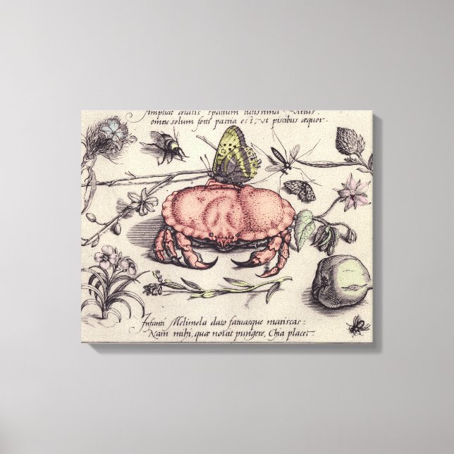 Toile Illustration de la fleur d'insectes botaniques du  (Recto)