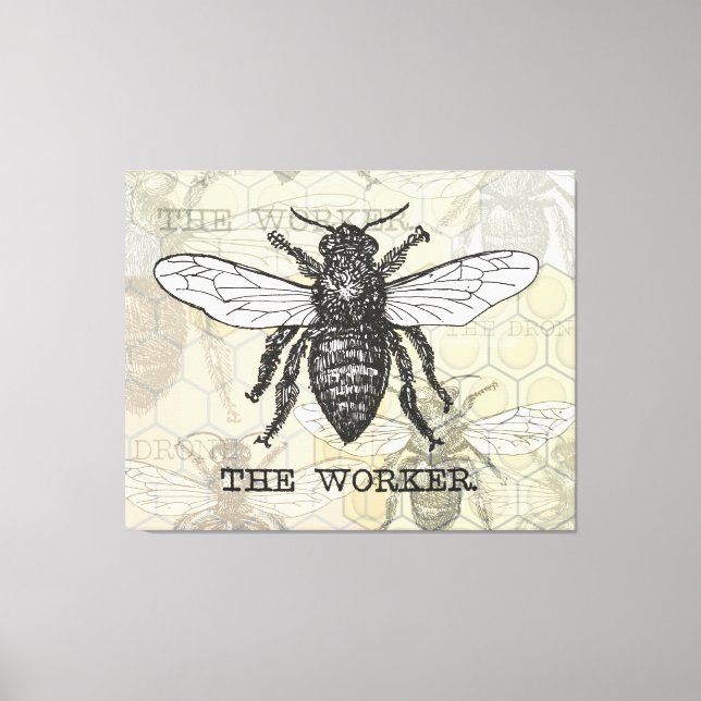 Toile Illustration de l'abeille du travailleur vintage (Recto)