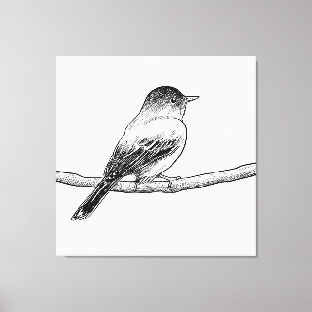 Toile Illustration de l'oiseau dessiné à la main (Recto)