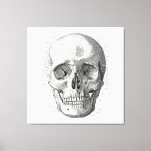 Toile Illustration du diagramme crâne classique
