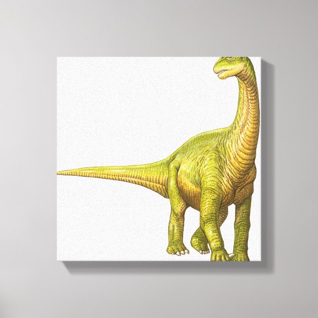 Toile Illustration d'un Camarasaurus (Recto)