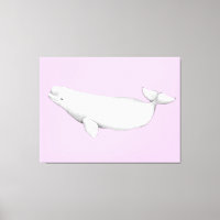 Illustration d'un livre de baleines béluga très él