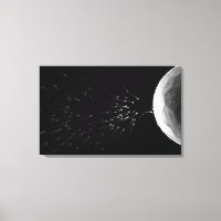 Illustration en noir et blanc de la fécondation