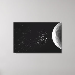 Toile Illustration noire et blanche de la fertilisation