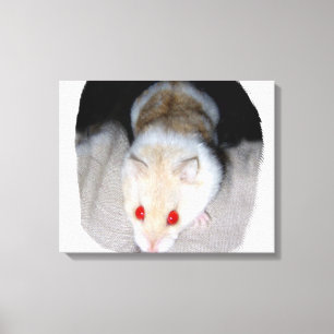 Toile Image blanche et blonde de hamster albinos