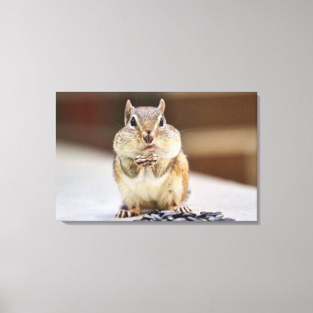 Toile Image Chipmunk (Recto)