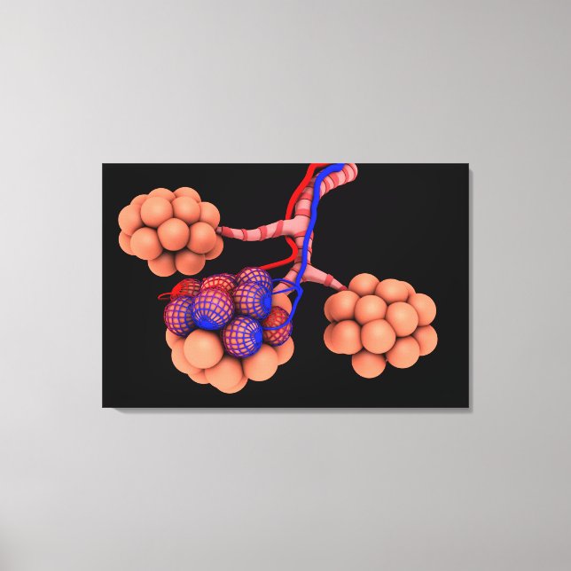 Toile Image Conceptuelle D'Alveoli 3 (Recto)