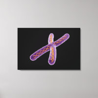 Image Conceptuelle De Chromosome 2