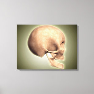Toile Image conceptuelle de crâne humain, vue de côté