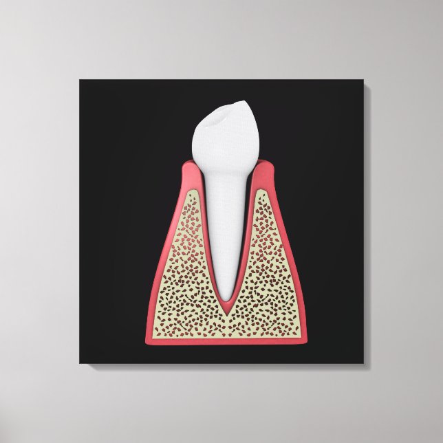 Toile Image Conceptuelle De La Dent Humaine 1 (Recto)