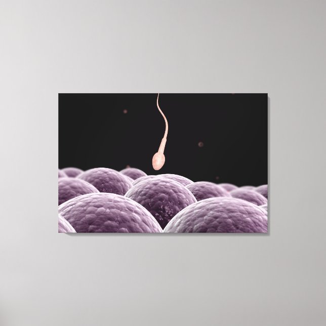 Toile Image Conceptuelle De La Fertilisation (Recto)