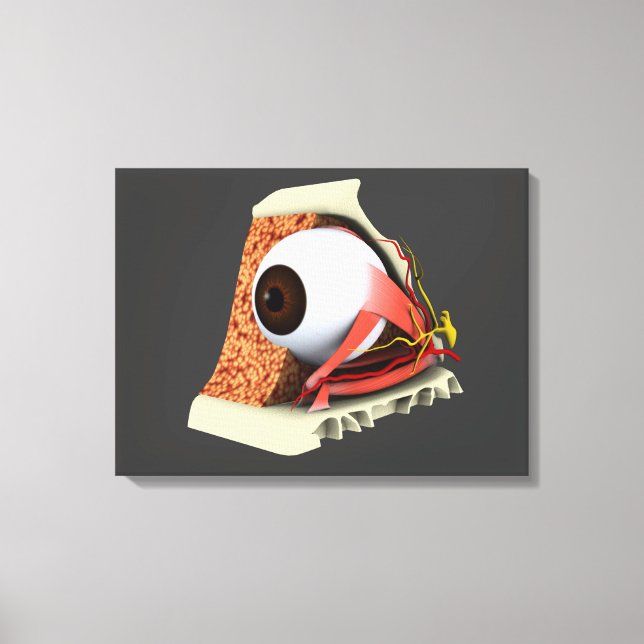 Toile Image Conceptuelle De L'Anatomie Des Yeux Humains  (Recto)
