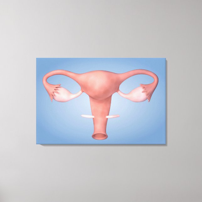 Toile Image Conceptuelle De L'Organe De Reproduction Fém (Recto)
