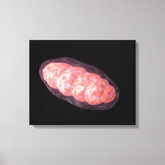 Toile Image Conceptuelle De Mitochondria 2 (Recto)