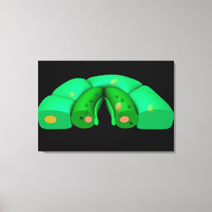 Toile Image Conceptuelle De Stomata 2