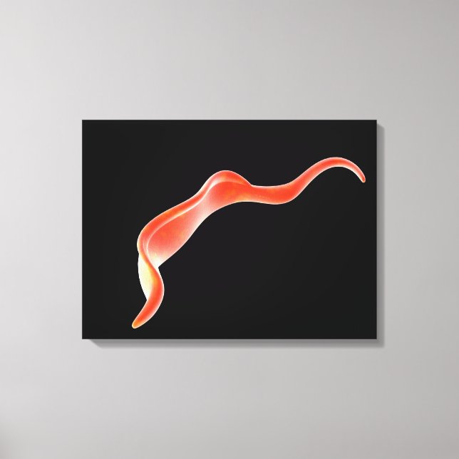 Toile Image Conceptuelle De Trypanosoma 2 (Recto)