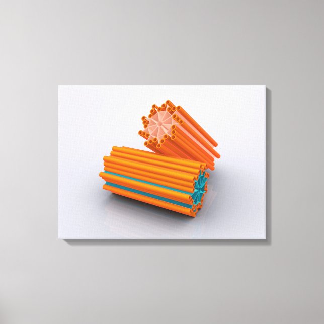 Toile Image Conceptuelle Des Centrioles 2 (Recto)