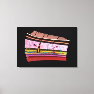 Toile Image conceptuelle des couches de peau humaine 2