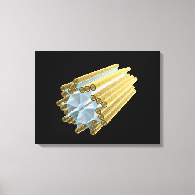 Toile Image Conceptuelle Du Centriole (Recto)