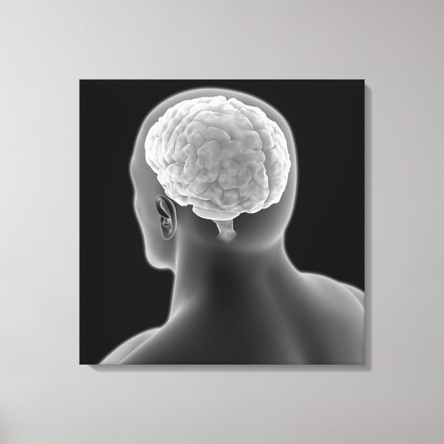 Toile Image Conceptuelle Du Cerveau Humain 2 (Recto)