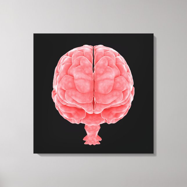 Toile Image Conceptuelle Du Cerveau Humain 3 (Recto)
