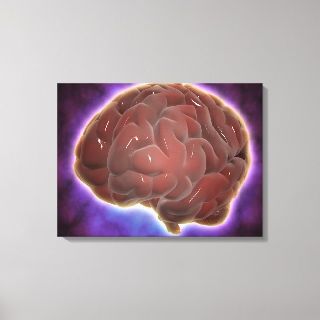 Toile Image Conceptuelle Du Cerveau Humain 6 (Recto)