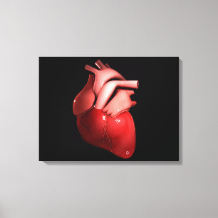 Toile Image Conceptuelle Du Coeur Humain 1